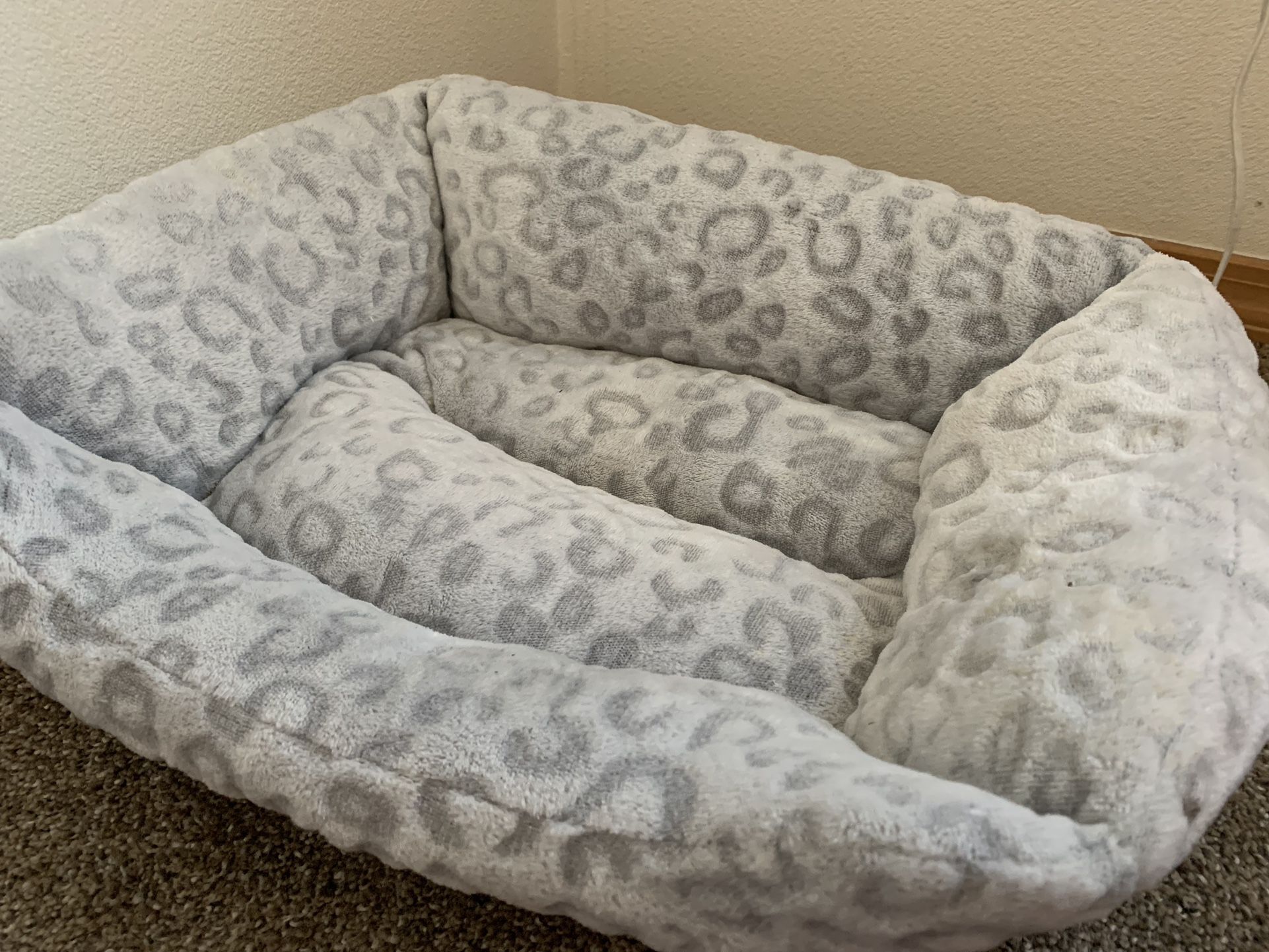 cute cat / small dog bed
