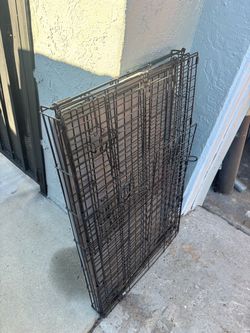 Cage dog