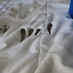 Large Wing Charm Pendant 2-inch Steampunk Right & Left Sides 12 Piece lot (Silver)