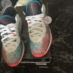 Lebron 8’s Miami Nights 