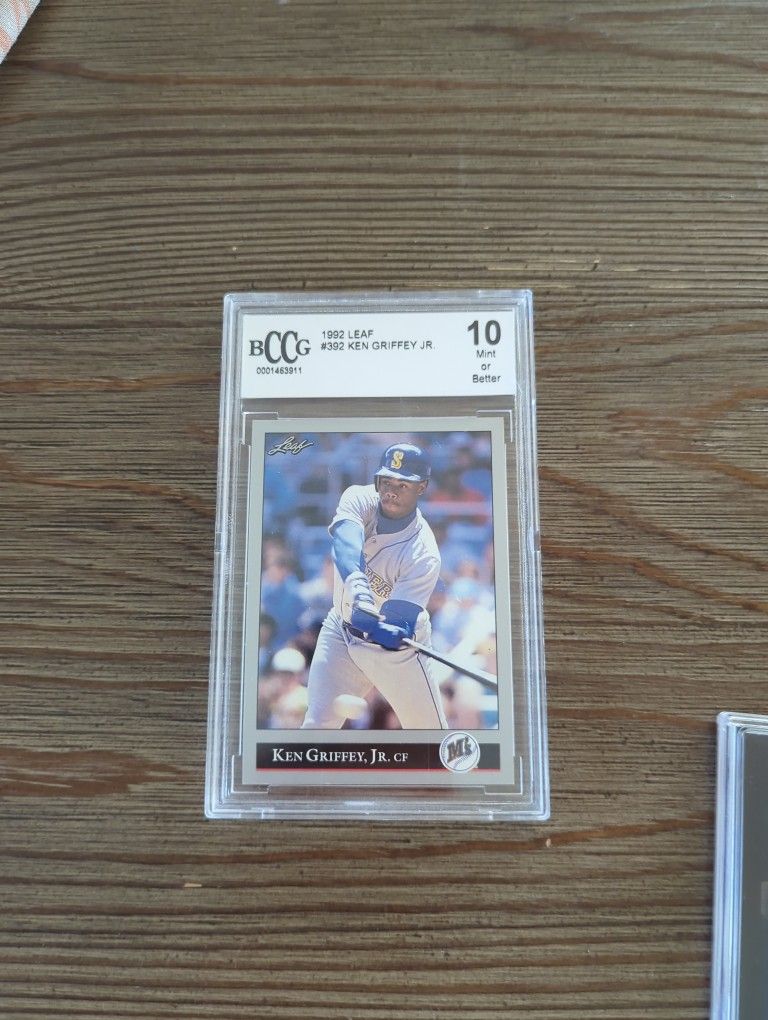 The Price Is For The Whole Lot