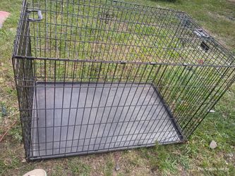 Large dog crate
