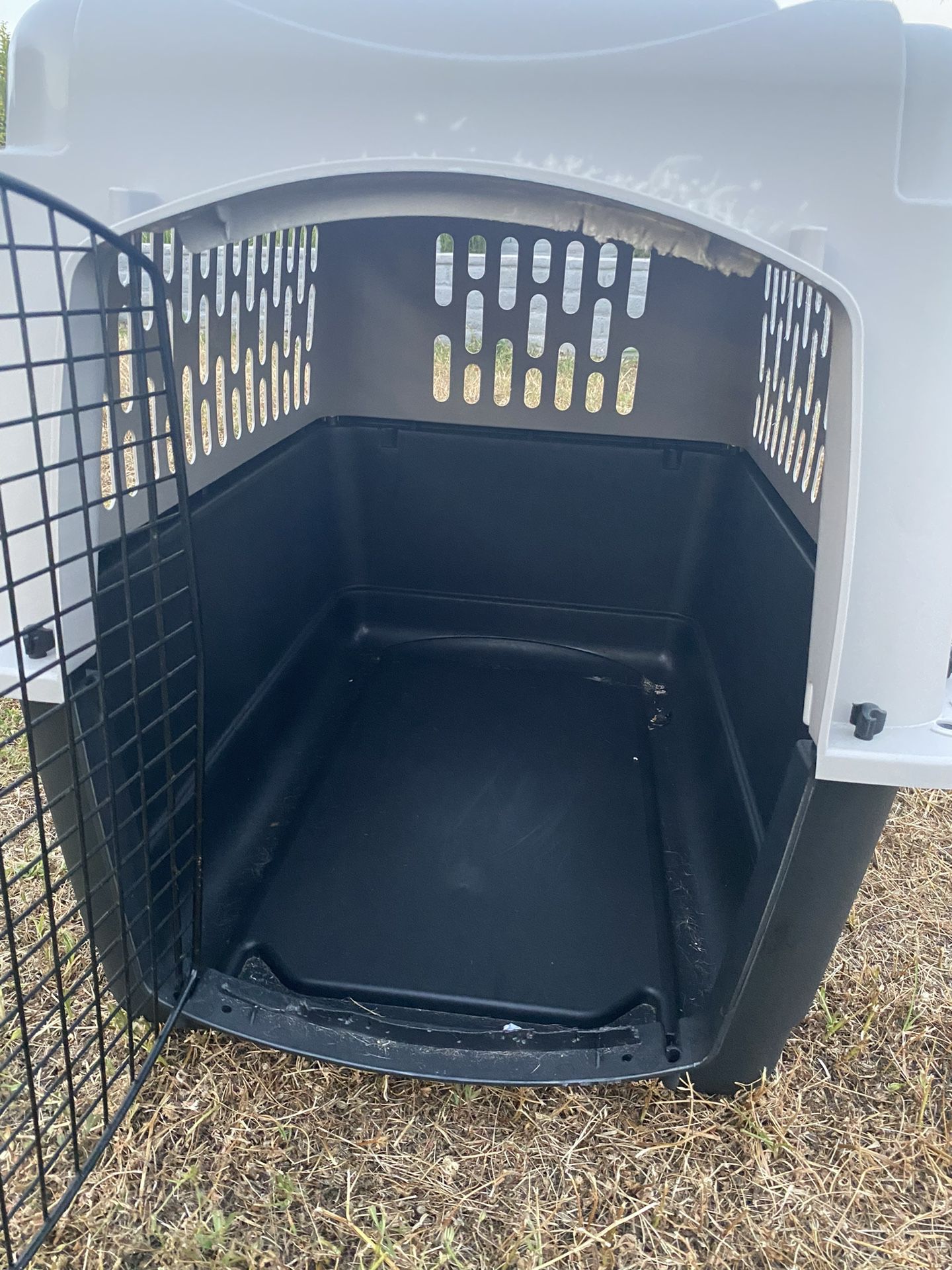 Dog Travel Crate $80 Obo