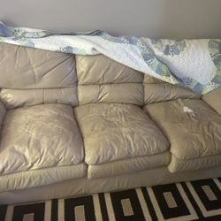 Free Leather Couch