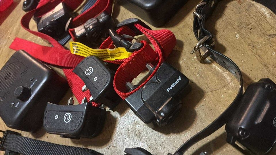 Dog Collars It's 10 Of Them