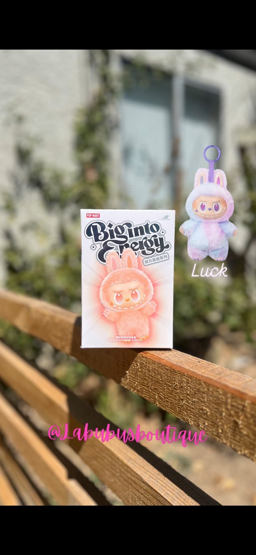 Luck Big into Energy Labubu