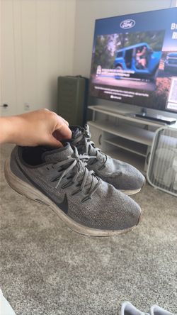 Nike pegasus