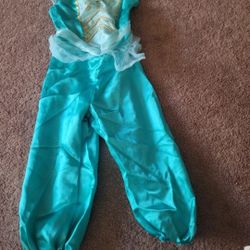 Disney's Aladdin Princess Jasmine Halloween Costume 
