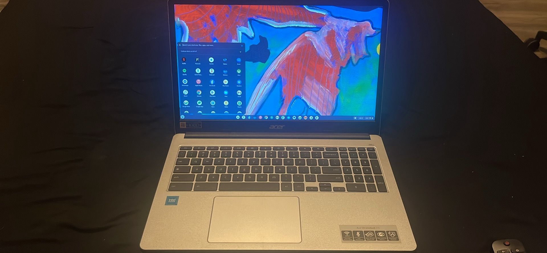 Acer Chromebook 315