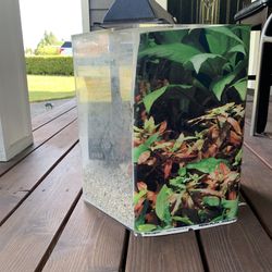 Acrylic 50 Gallon Or More Salt Water Tank