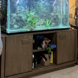 🐠 55 Gallon Fish  Tank with Stand – Complete Setup 🐠