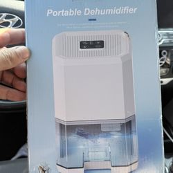 portable electric dehumidifier with a 1200ml capacity water tank
