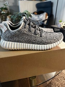 Yeezy 350 Turtle Dove Sz 11