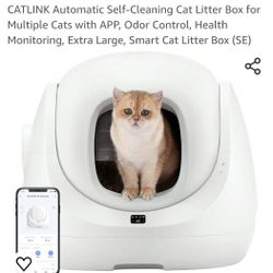 Automatic Litter Box