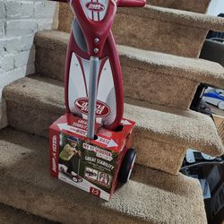 Radio Flyer Scooter