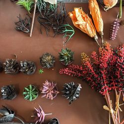 Halloween plants