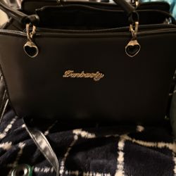 purse black 