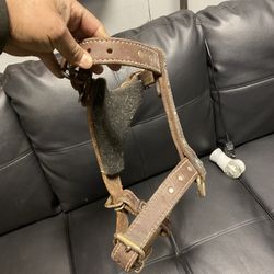 Dog Leather harness
