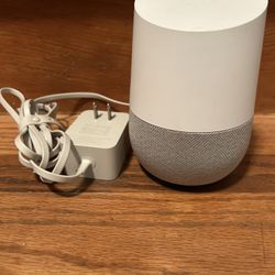 Google Alexa Device