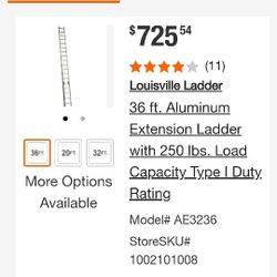 Ladder 36ft 