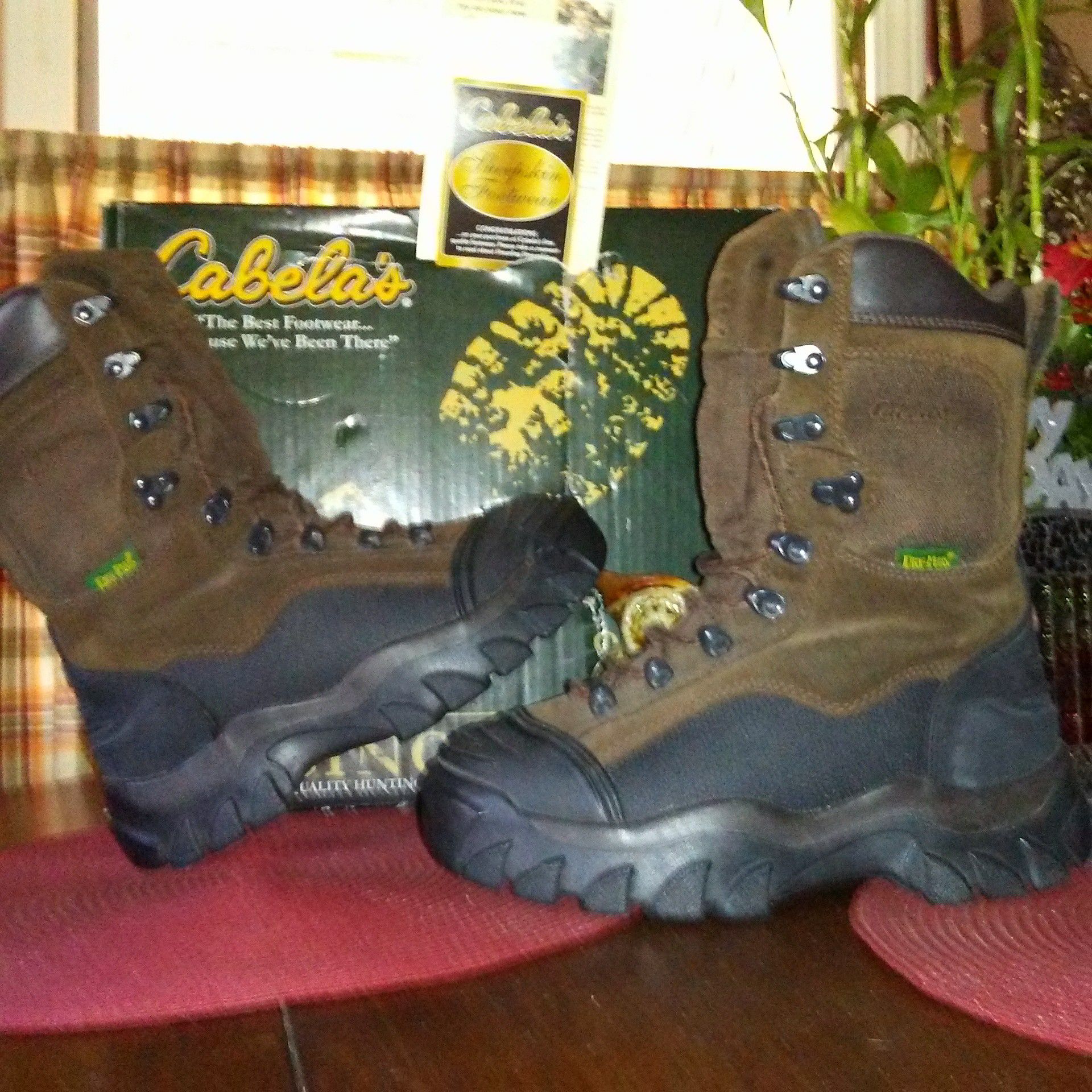 Cabellas insulated steel toed work boots