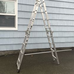 Telescoping Werner Ladder 
