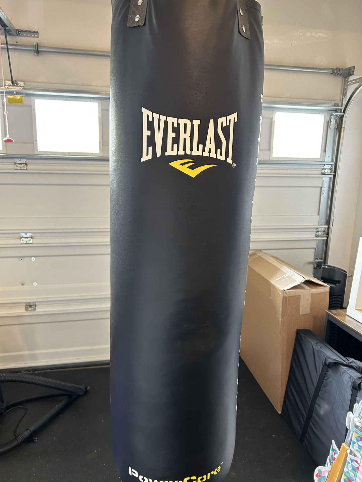 Everlast Punching Bag