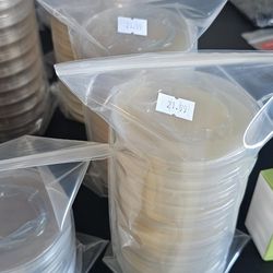 Mycology Supplies. Fair Trade All The Way 