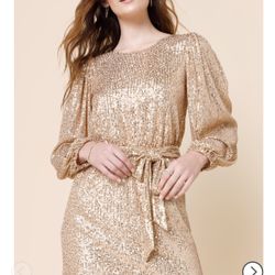 NWT Gold Sequin Dress