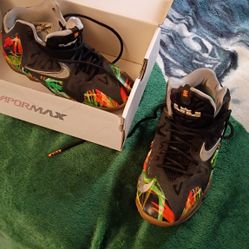 Nike LeBron 11 Everglades