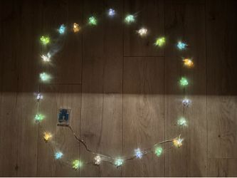 World Market Fairy String Lights