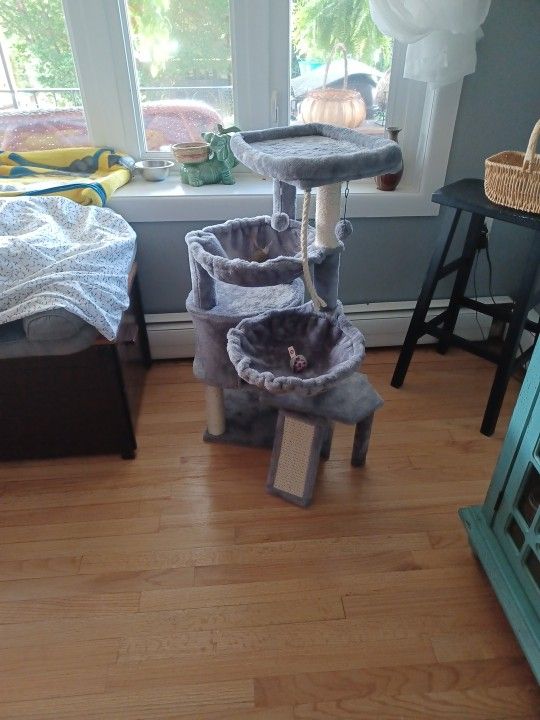 CAT JYM NEW