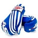 ASG Brand -Sparring / Training Glove