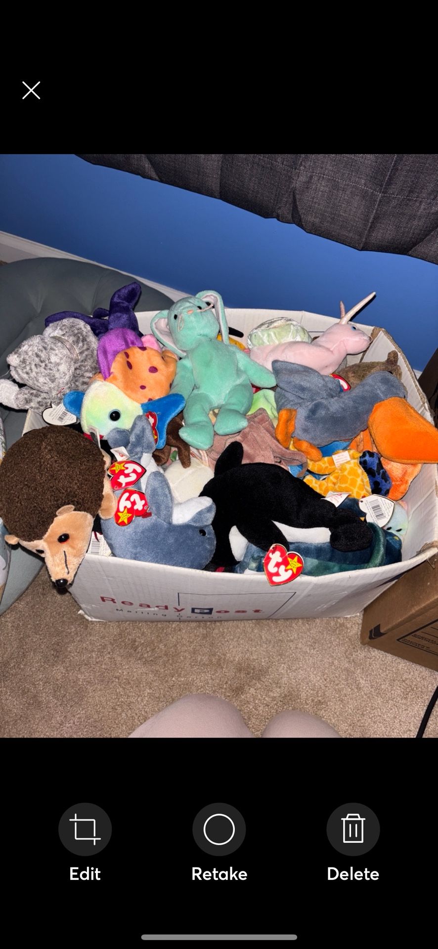 ‼️Beanie Baby Lot‼️