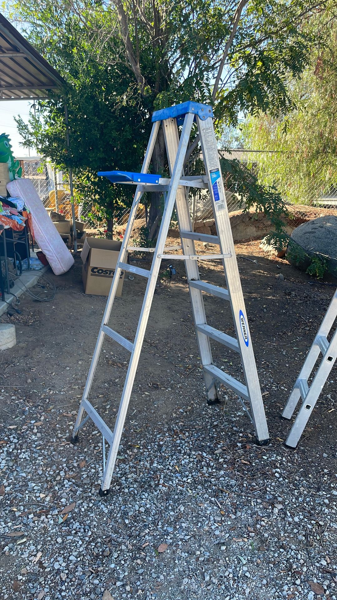 Ladder