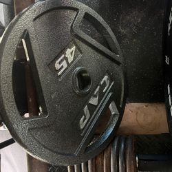 (1) 45lb CAP plate 