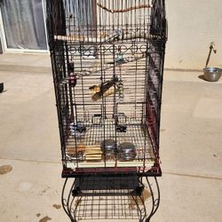 Bird Cage