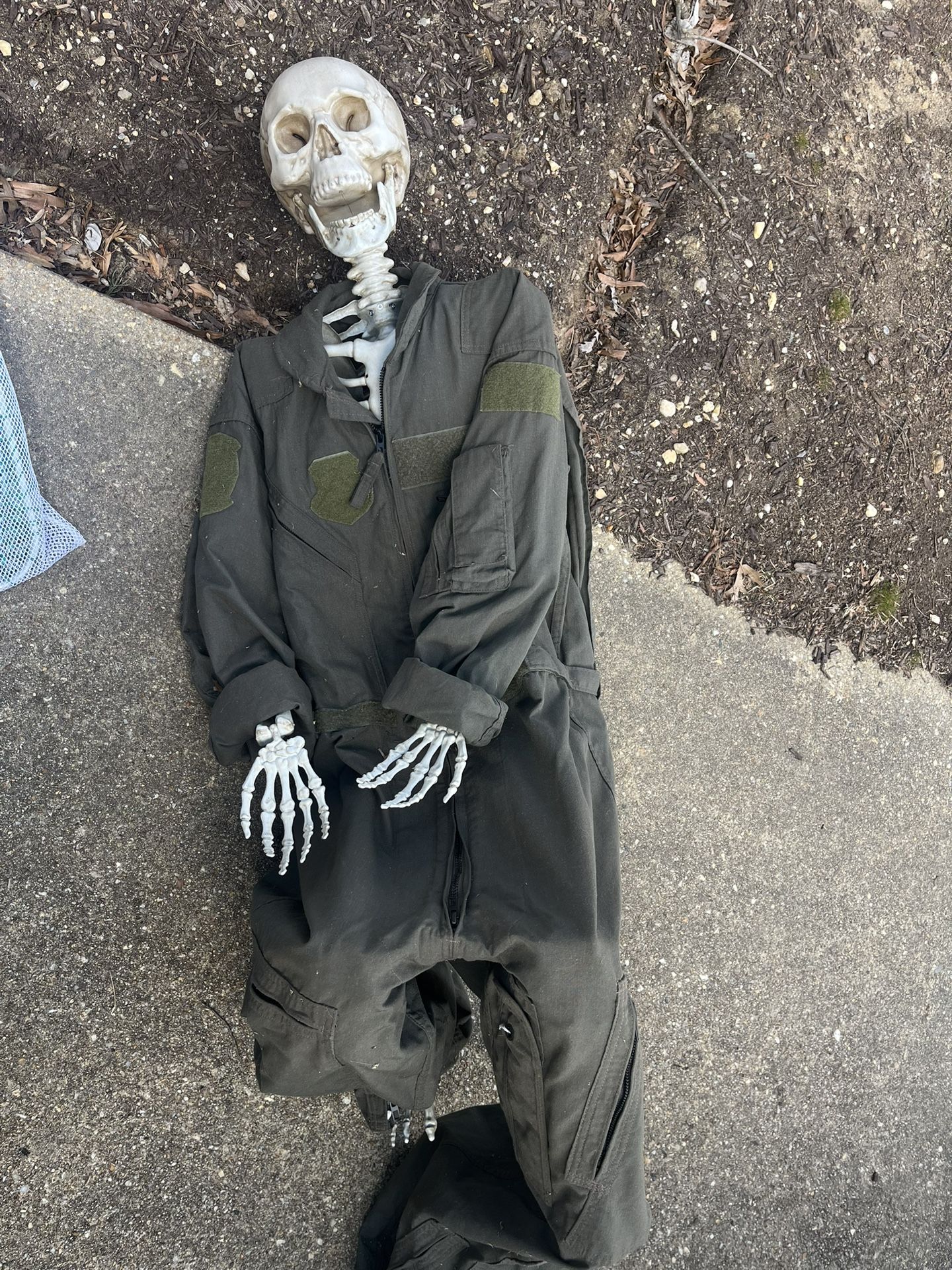 Halloween Skelton