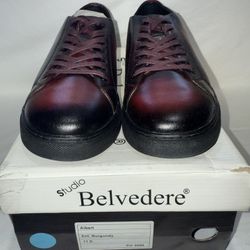 Brand New Shows In Box Size 11