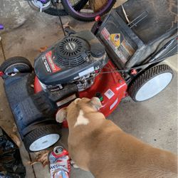 Lawn Mower