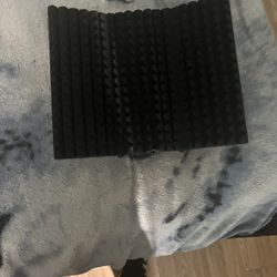 Mic Shield 