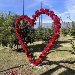 CORAZÓN ♥️ ARTIFICIAL