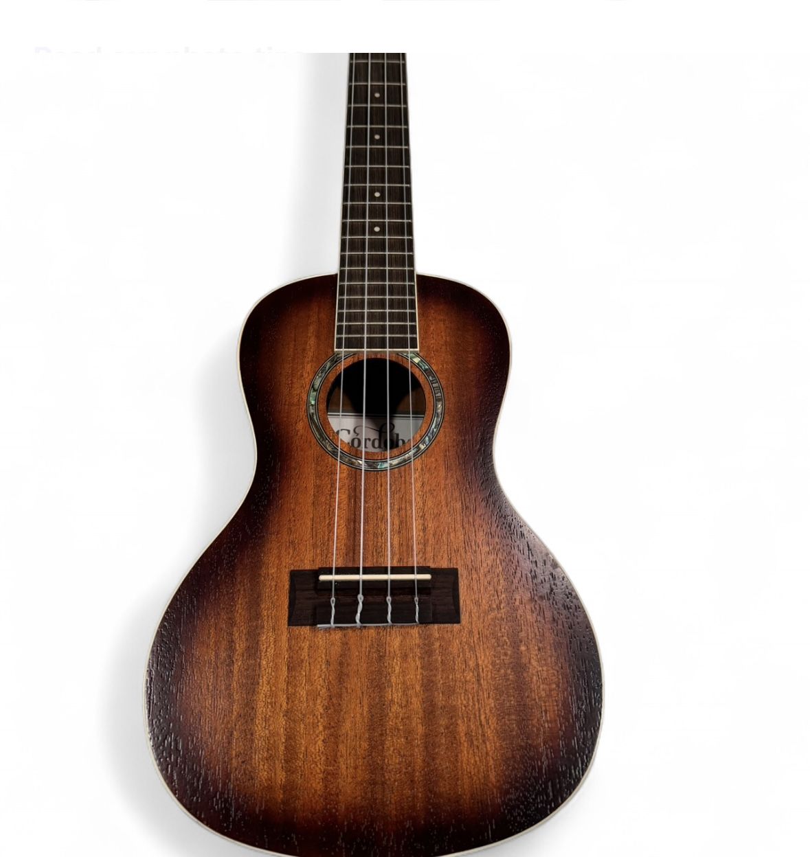 ukulele ( Cordoba 15CM )