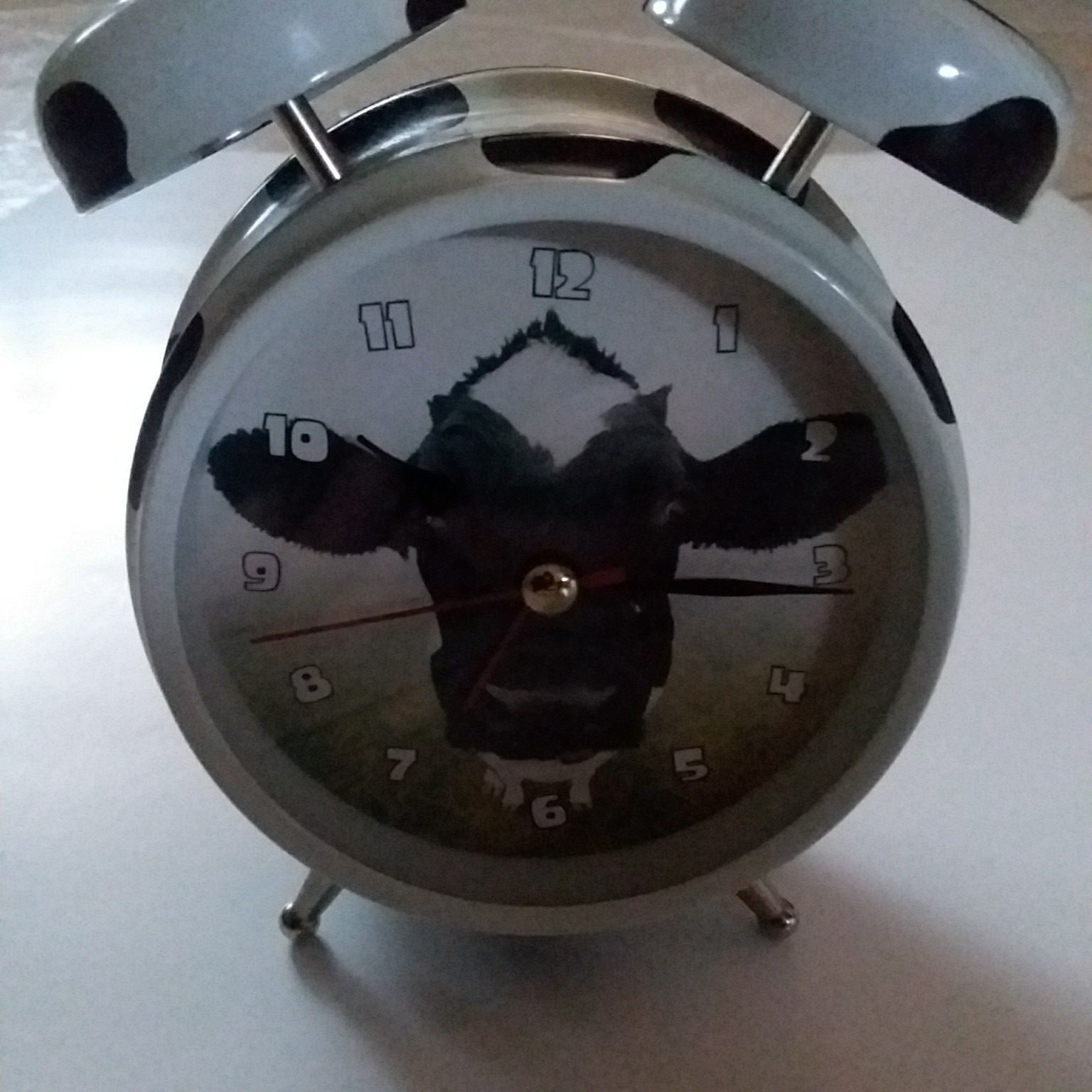 Cow Alarm Clock