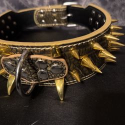 Spiked Dog Collar 