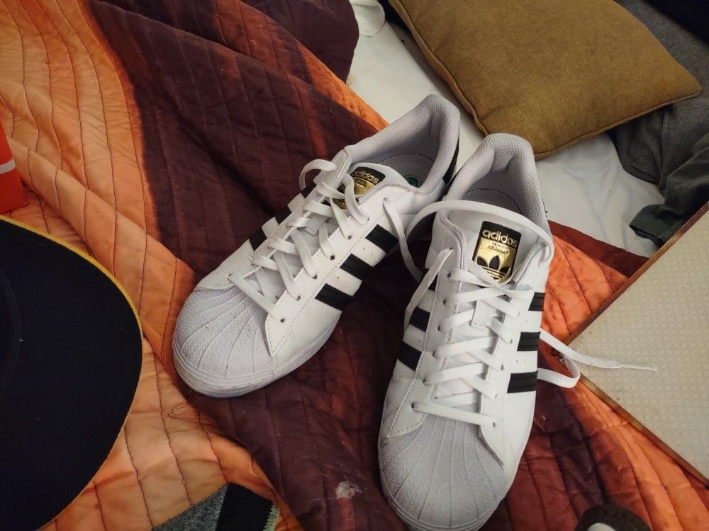 Adidas Shell Toe