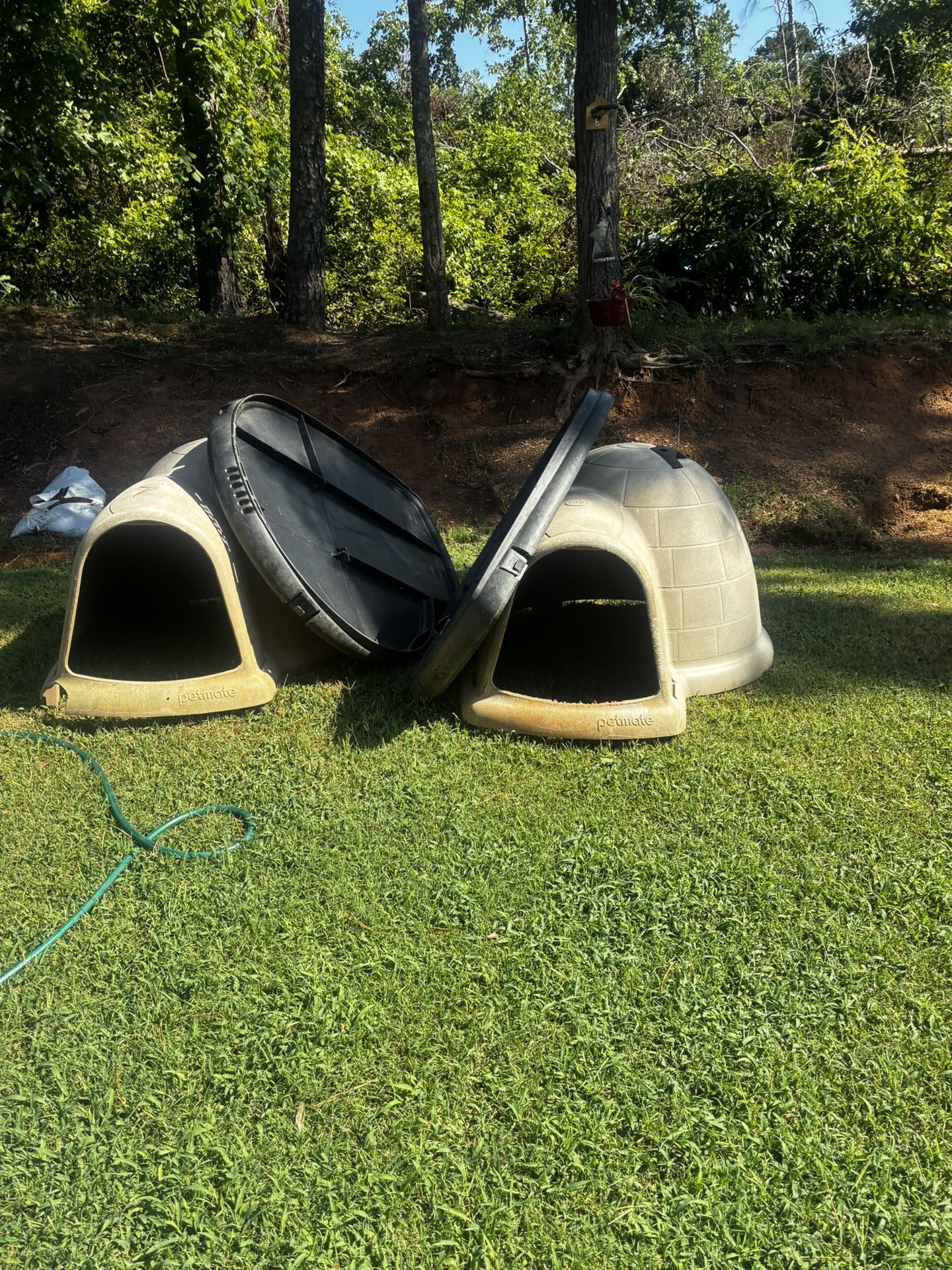 Dog Houses