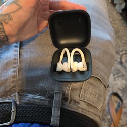 Beats Powerbeats Pro 