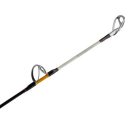Ugly Stik Bigwater 