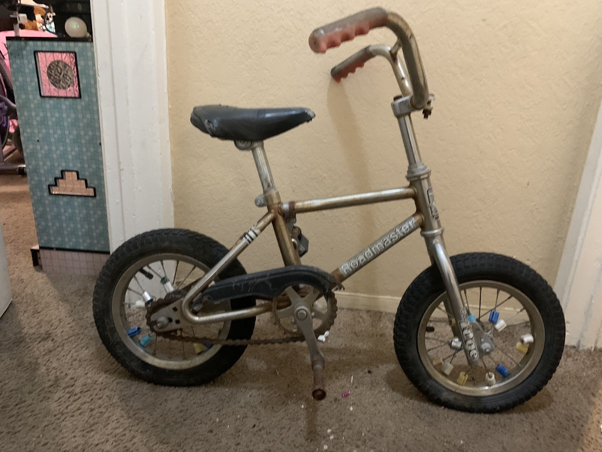Roadmaster bike cheap kids